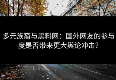 多元族裔与黑料网：国外网友的参与度是否带来更大舆论冲击？