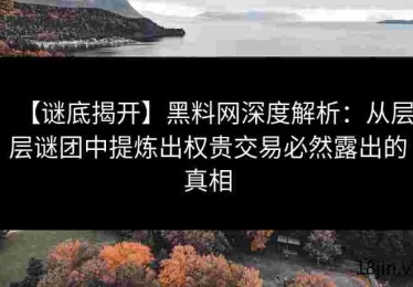 【谜底揭开】黑料网深度解析：从层层谜团中提炼出权贵交易必然露出的真相