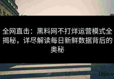 全网直击：黑料网不打烊运营模式全揭秘，详尽解读每日新鲜数据背后的奥秘
