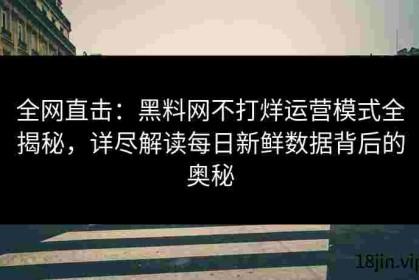 全网直击：黑料网不打烊运营模式全揭秘，详尽解读每日新鲜数据背后的奥秘
