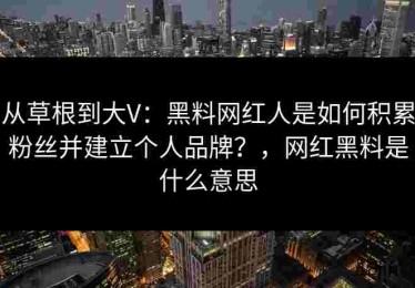 从草根到大V：黑料网红人是如何积累粉丝并建立个人品牌？，网红黑料是什么意思