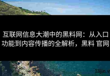 互联网信息大潮中的黑料网：从入口功能到内容传播的全解析，黑料 官网