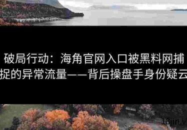 破局行动：海角官网入口被黑料网捕捉的异常流量——背后操盘手身份疑云