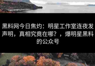 黑料网今日焦灼：明星工作室连夜发声明，真相究竟在哪？，爆明星黑料的公众号