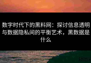 数字时代下的黑料网：探讨信息透明与数据隐私间的平衡艺术，黑数据是什么