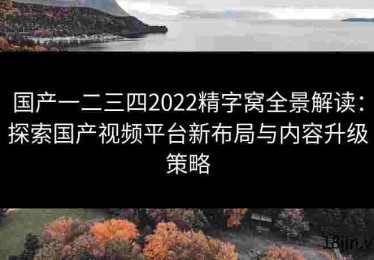 国产一二三四2022精字窝全景解读：探索国产视频平台新布局与内容升级策略
