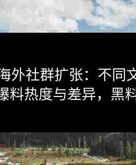 黑料网海外社群扩张：不同文化背景下的爆料热度与差异，黑料 官网