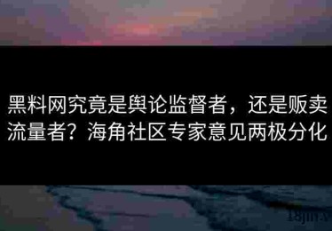 黑料网究竟是舆论监督者，还是贩卖流量者？海角社区专家意见两极分化