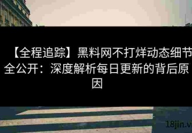 【全程追踪】黑料网不打烊动态细节全公开：深度解析每日更新的背后原因