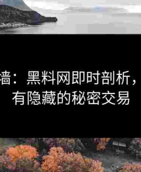 突破围墙：黑料网即时剖析，揭露所有隐藏的秘密交易