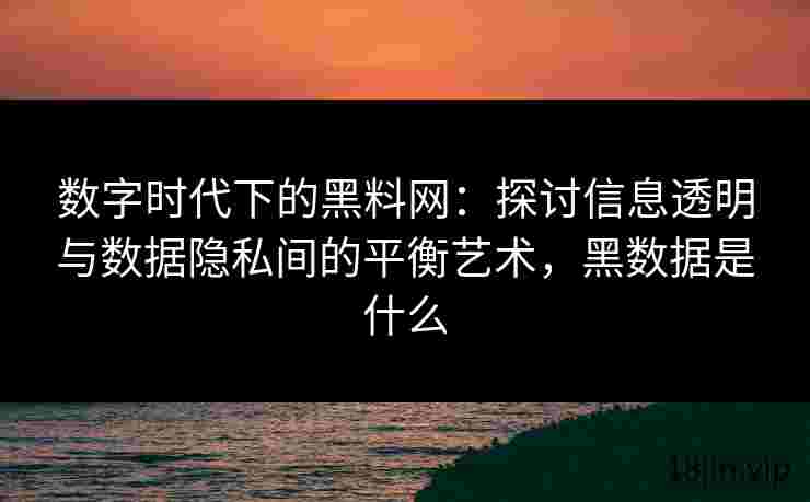 数字时代下的黑料网：探讨信息透明与数据隐私间的平衡艺术，黑数据是什么