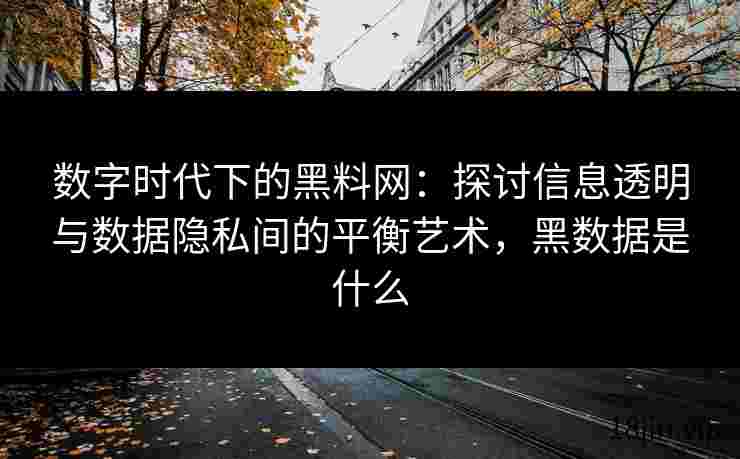 数字时代下的黑料网：探讨信息透明与数据隐私间的平衡艺术，黑数据是什么