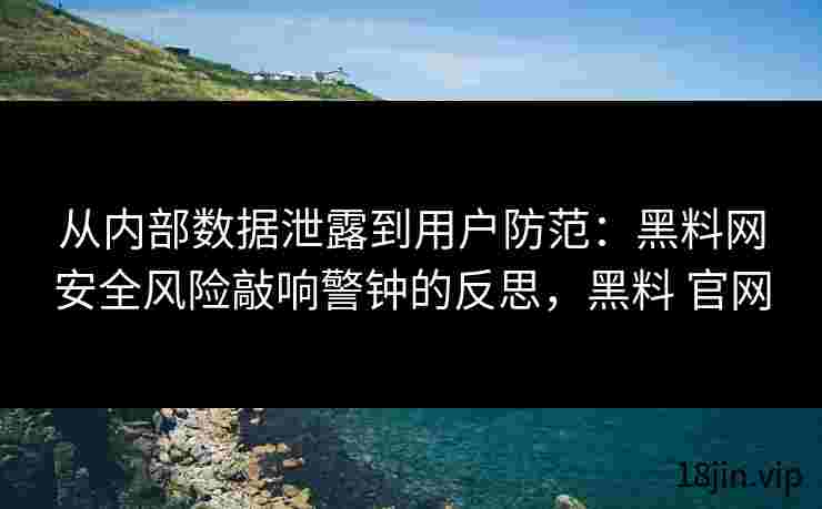从内部数据泄露到用户防范：黑料网安全风险敲响警钟的反思，黑料 官网