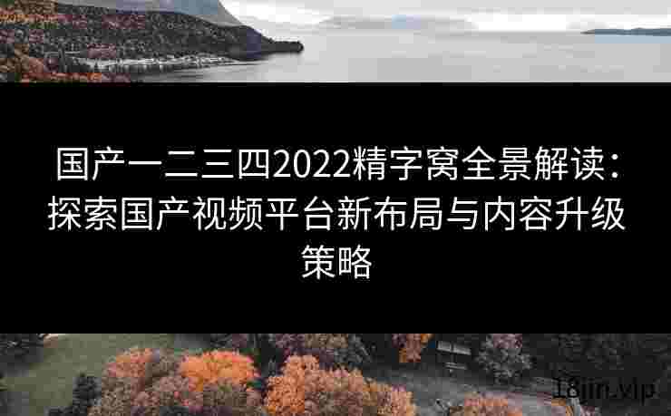 国产一二三四2022精字窝全景解读：探索国产视频平台新布局与内容升级策略