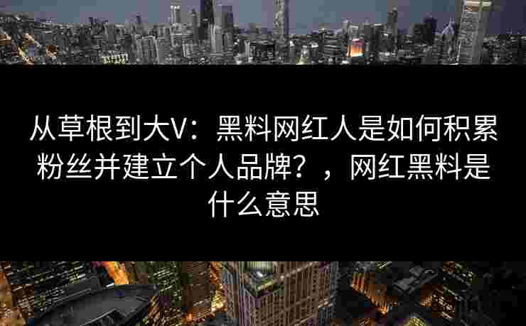 从草根到大V：黑料网红人是如何积累粉丝并建立个人品牌？，网红黑料是什么意思