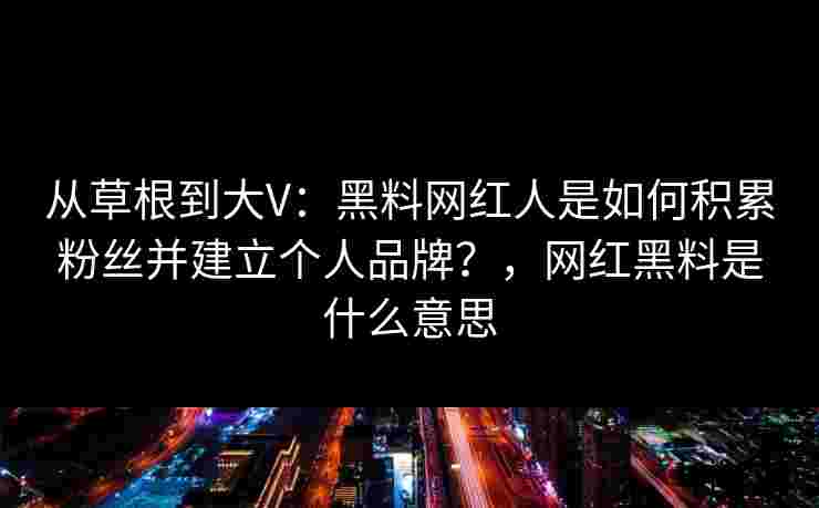 从草根到大V：黑料网红人是如何积累粉丝并建立个人品牌？，网红黑料是什么意思