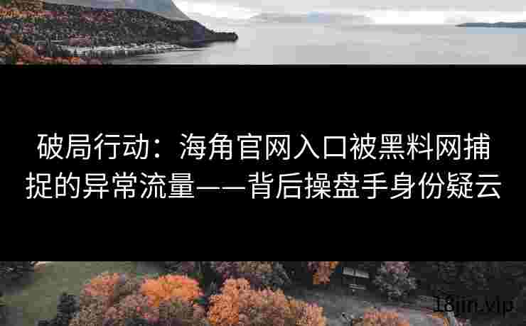 破局行动：海角官网入口被黑料网捕捉的异常流量——背后操盘手身份疑云