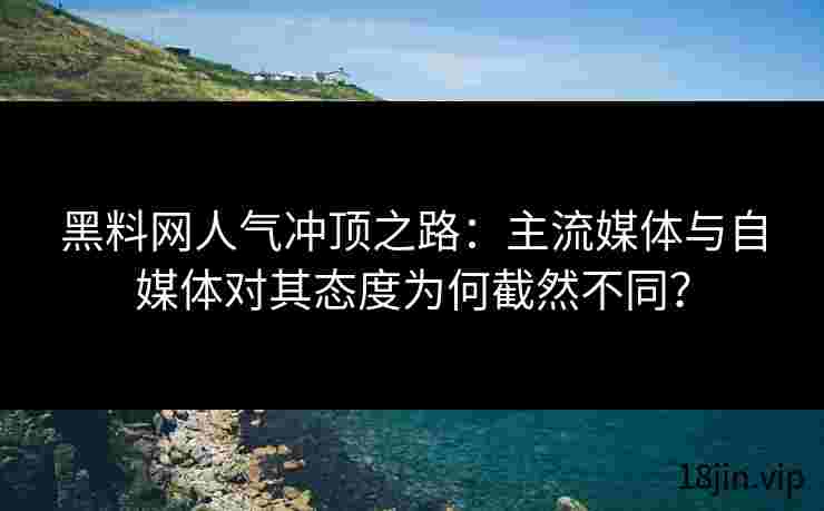 黑料网人气冲顶之路：主流媒体与自媒体对其态度为何截然不同？