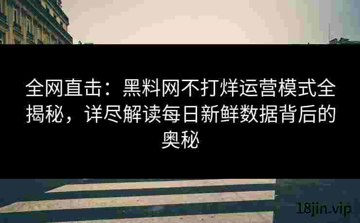 全网直击：黑料网不打烊运营模式全揭秘，详尽解读每日新鲜数据背后的奥秘
